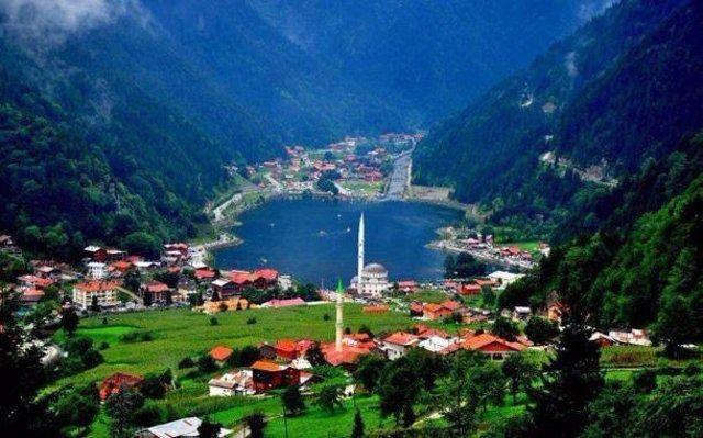 <p><strong>Trabzon</strong></p>
<p>Kayıtlı Suriyeli: 2,172</p>
<p>Şehir Nüfusu: 779,379</p>
<p>İl nüfusu ile karşılaştırma yüzdesi: 0.28</p>