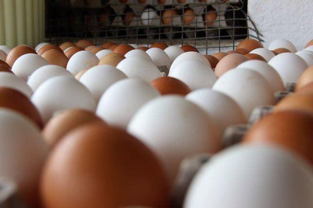 <p>Çünkü yumurtadaki <strong>protein, suda kaynatıldığında</strong> çözülür. </p>