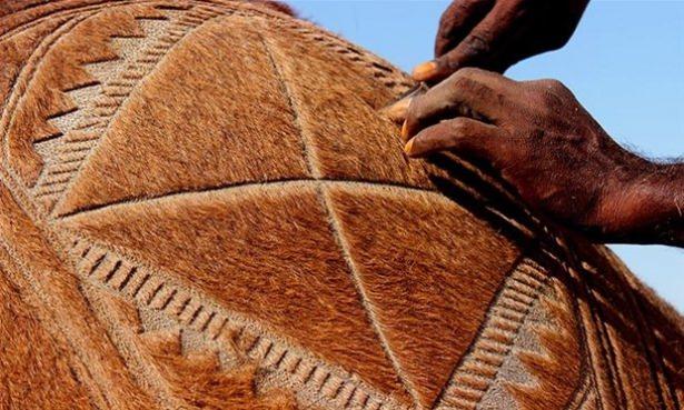 <p>Pakistan‘ın güneydoğusundaki Sindh bölgesinde kurulan pazarda develere ayrılmış özel bir bölüm var.</p>
