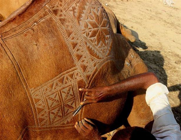 <p>Fotoğrafçı Anas Hamdani, Pakistan’daki hayvan pazarında deve berberliğini yapan insanlarla konuşma fırsatı da buldu.</p>