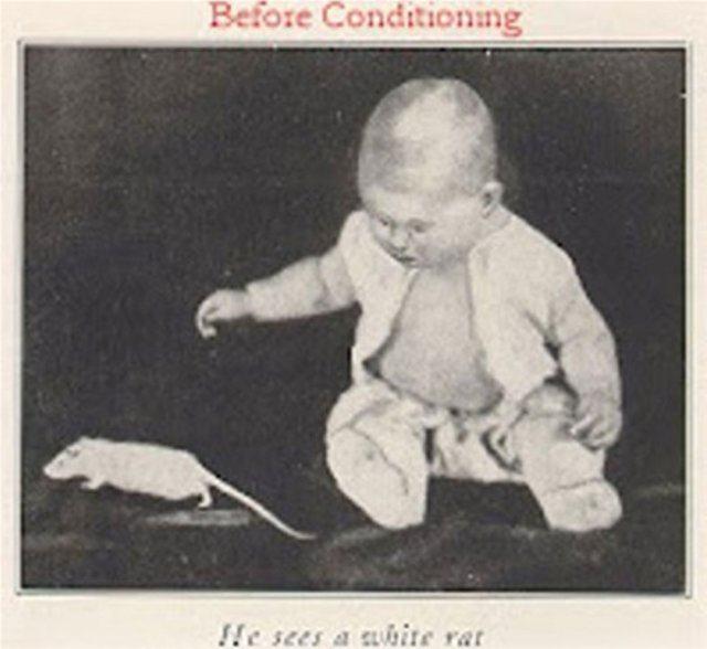 <p><strong>Küçük Alber deneyi</strong></p>

<p>Pavlov'un Köpeği deneyinin insan versiyonu. 1920 yılında John B. Watson Albert adındaki bebeğin yanına beyaz bir fare koydu. Bebek önce fareden hiç korkmadı. Daha sonra, ne zaman fareye dokunsa odada korkunç gürültüler yankılandı. Albert daha sonra fareye asla dokunmamaya başladı.</p>
