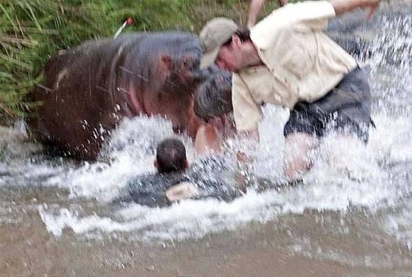 <p>Güney Afrika'daki ünlü Kruger Milli Parkı'nda yaşanan bu korkunç anlar kare kare görüntülendi.</p>

<p> </p>
