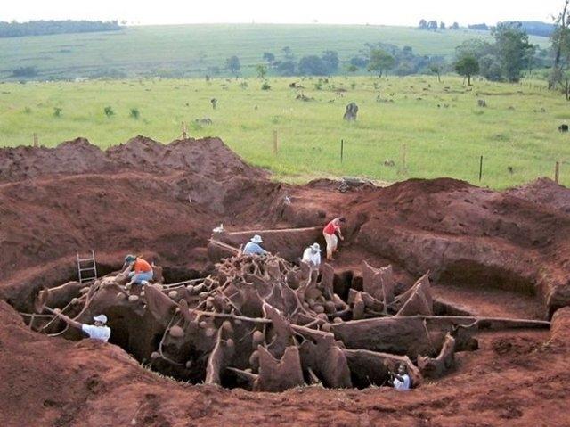 <p>2012'de brezilya'da keşfedilen dünyanın en büyük karınca yuvası, 8 metrelik bir derinliğe sahipti ve 47 metre karelik bir alana yayılıyordu.</p>
