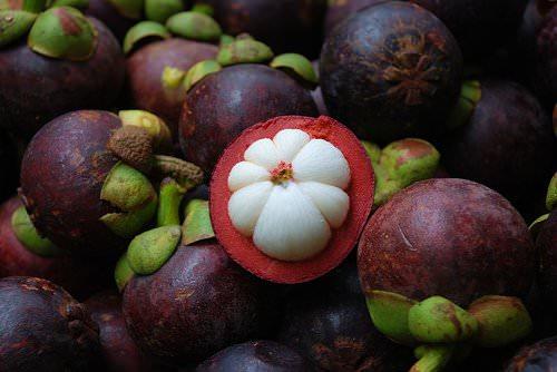 <p><strong>6- Mangosteen</strong><br />
Taze olarak tüketilen çok lezzetli bir meyvedir. Kalın kabuğunun içinde tatlı, kremamsı, beyaz bir meyve saklar. Bolca demir ve fosfor ihtiva eder.</p>

<p> </p>
