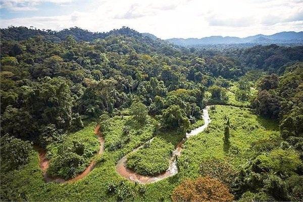 <p><strong>Gelecek için yeni bir yer</strong></p>

<p>Honduras'ta bu yılın Mart ayında kayıp bir şehir daha keşfedildi. İsmi henüz belli değil ve turizme kapalı.</p>
