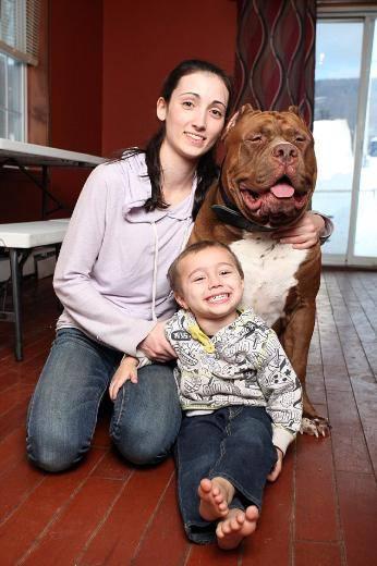 <p>İşe yıllar önce sadece iki köpekle başlamışlar. Şimdi ise sahip oldukları köpek sayısı 10'dan fazla.</p>
<p> </p>
<p> </p>