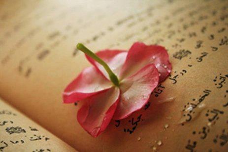 <p><strong>74. Dört büyük kitap hangileridir ve hangi peygamberlere inmiştir </strong><br />
Tevrat Hz.Musa'ya, Zebur Hz.Davud'a, İncil Hz.İsa'ya, Kur´an-ı -Kerim Peygamberimiz Muhammed Mustafa ( Sallallahü aleyhi ve sellem ) Efendimize inmiştir. </p>
