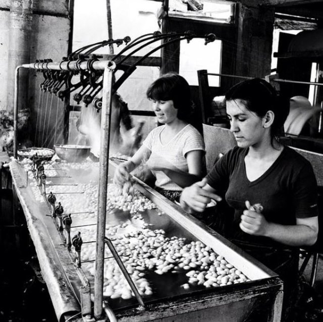 <p>İpek Böcekçiliği - Bursa</p>

<p> </p>
