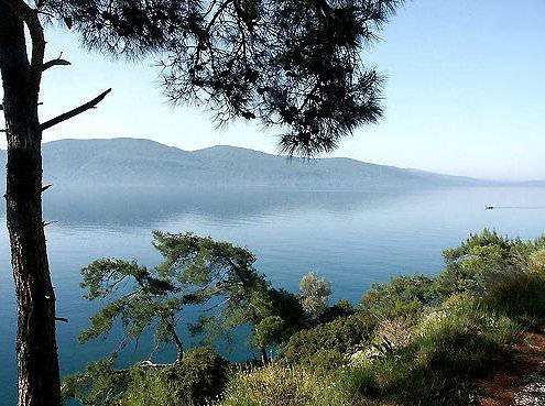 <p>Akyaka</p>
