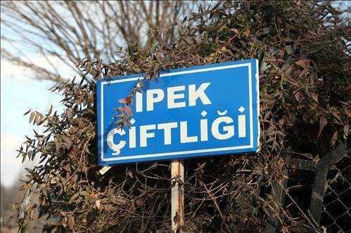 <p>Arazinin hemen hemen yarısı olan 7 bin 179 metrekare kapalı alanı bulunan muhteşem kompleksin içinde, ana binanın haricinde, konuk evi, konuk salonu, fırın ve havuz için de ayrı binalar inşa edilmiş. Ana bina toplam 4 kattan oluşuyor ve 5 bin 653 metrekarelik alana sahip. Ana binanın dışında 5 ayrı yapının daha inşaatı sürüyor.</p>
