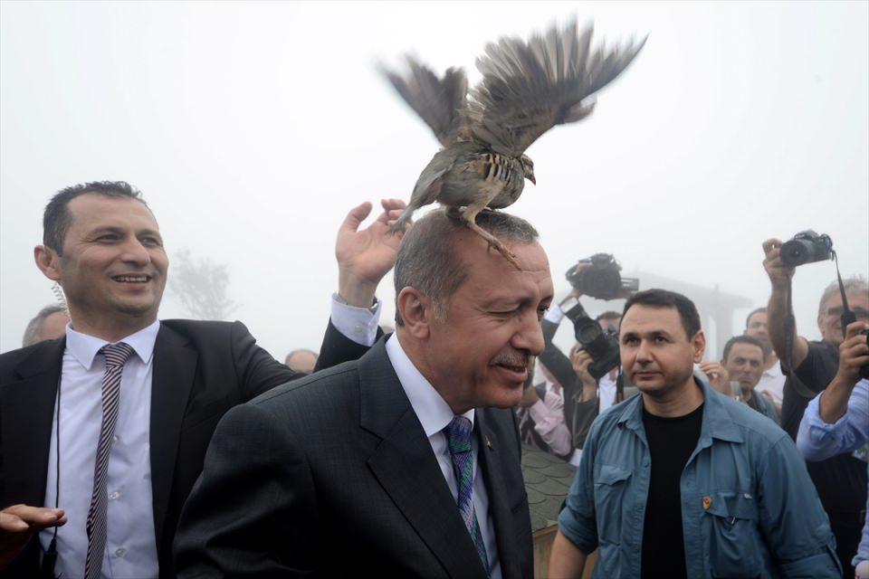 <p>Yılın Siyaset Fotoğrafı birincisi Doğan Haber Ajansı'ndan Uğur Can oldu. Cumhurbaşkanı Recep Tayyip Erdoğan, Rize'de Çevre ve Orman Bakanlığınca yetiştirilen keklikleri doğaya salarken korumaların elinden kurtulan bir keklik Erdoğan'ın başına konmuştu.</p>