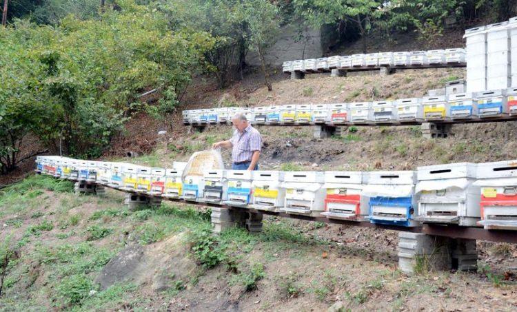 <p>Sağımlar tamamlanmak üzere. Şuana kadar yaklaşık 2 ton civarında bal üretildiğini tahmin ediyoruz. Bu rekor düzeyde bir miktar. Kooperatif olarak üreticilerden aldığımız balları tahlil için Hacettepe Üniversitesi'ne göndermeye başladık.</p>