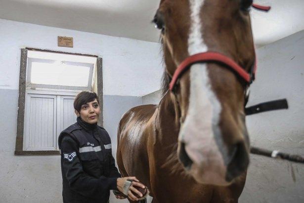 <p>JAKEM'de erkek komutanların yanı sıra özverili çalışmalarıyla dikkati çeken kadın komutanlar da atların eğitiminde görev alıyor.</p>
<p> </p>