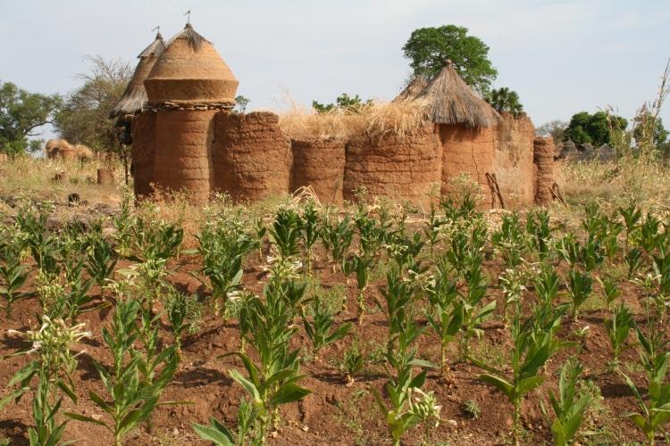 <p>Karasal Alan km²<br />
Benin<br />
110.622</p>