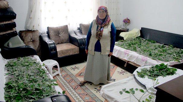 <p>Samsun'un 19 Mayıs ilçesinde ipek böceği yetiştiriciliğine başlayan 55 yaşındaki Fatma Bayram, ipek böceklerine misafir odasındaki koltuk ve kanepelerin üzerinde bakıyor.</p>

<p> </p>
