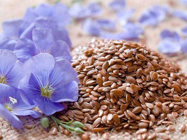 <p><strong>KETEN TOHUMU</strong></p>

<p>Hem sağlıklı bir diyetin parçasıdır hem de depresyona karşı etkilidir.<br />
<br />
<br />
<strong>Kaynak: </strong>Coolkadin</p>
