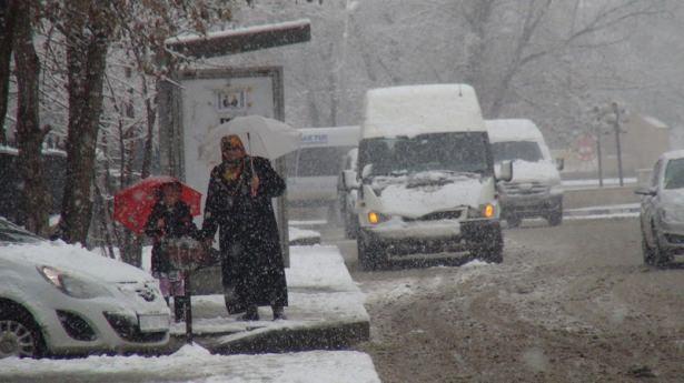 <p>AĞRI</p>

