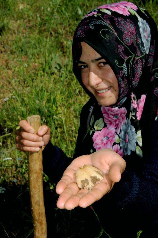 <p>Yılda sadece 1 ay boyunca toplanabilen salep bitkisi, tencerelerde kaynatıldıktan sonra kurutularak satışa çıkarılıyor. Geçen yıl kilosu 290 liradan alıcı bulan salebin pazarı ise Kahramanmaraş.</p>
