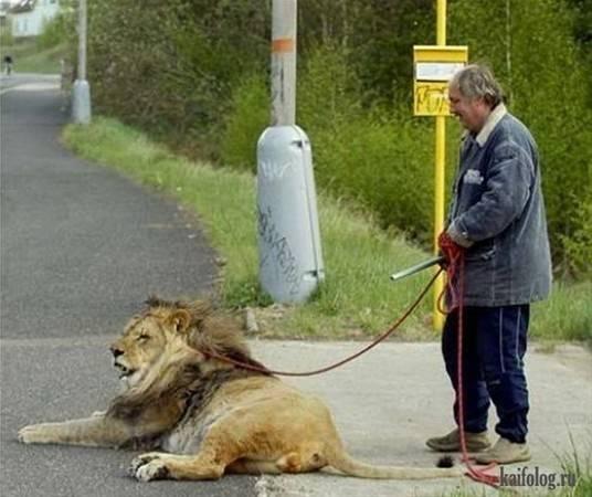 <p>İşte dünyanın en sıradışı evcil hayvanları...</p>
<p> </p>
<p> </p>