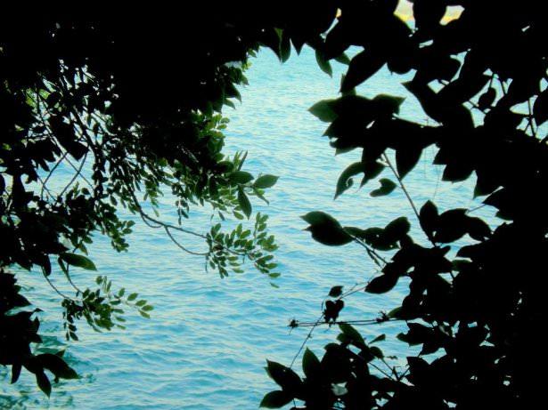 <p>Akyaka</p>
