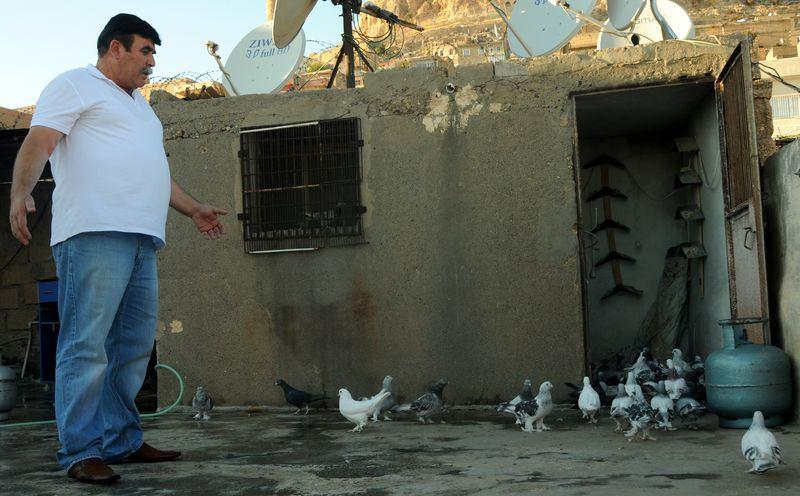 <div><strong>"Mardin'in güvercinleri altındır"</strong></div>
<div> </div>
<div>Kaliteli güvercinlere paha biçilemeyeceğini aktaran Topal, "Taklacı güvercinleri altın, tunç ve bronz olarak değerlendirirsek Mardin'in güvercinleri altındır" dedi. </div>