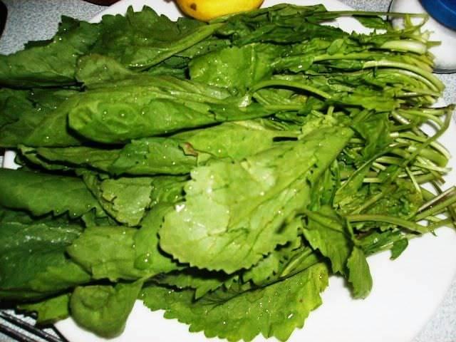 <p>Kandaki yağ oranının düşürülmesinde de etkilidir.</p>
<p> </p>