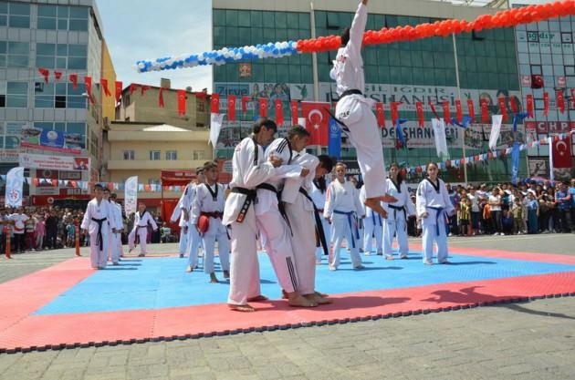 <p>Iğdır</p>