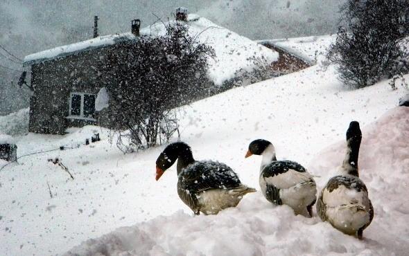 <p>Ardahan’ın Posof ilçesinde kar kalınlığı 40 santimetreye ulaştı.<br />
<br />
Fotoğraf: İbrahim Ataman</p>
