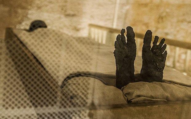 <p>Mısır’daki Krallar Vadisi’nde ve civarında bir yüzyıldır yapılan kazı çalışmalarında 64 mezar ve bunlara bağlı odalar ortaya çıkarıldı. Kral Tutankhamun’un, KV62 olarak bilinen hazinelerle dolu gömütü açık farkla bunların en ünlüsü. Ancak antik Mısır’ın 18. ve 19. hanedanlarından başka kraliyet mezarları ve mumyaları da gün ışığına çıkarıldı.</p>

<p>Mısırlı araştırmacılar, 2007’den bu yana 16 kraliyet mumyası üzerinde genetik testler yaptı. Bu fotoğraflarda görülenler Tutankhamun’un en yakın ve en sevgili akrabaları: Büyük anne-babası, anne-babası, karısı, mezarında bulunan ve büyük olasılıkla kızları olan mumyalanmış iki fetüs.</p>

<p> </p>
