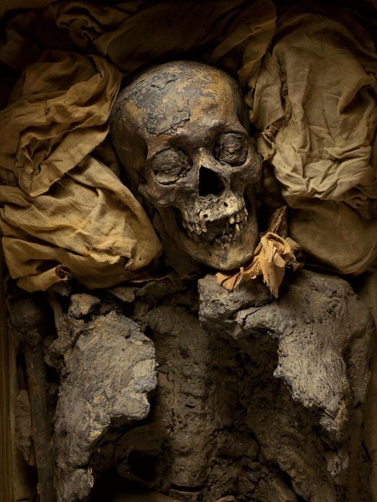 <p><strong>Tutankhamun'un Dedesi</strong></p>

<p><br />
III. Amenhotep, 3 bin 400 yıl önce görkemli bir şekilde hüküm sürmüştü. Ölüsü 1898 yılında, dedesi II. Amenhotep’in mezarı KV35’te on kadar başka asille birlikte saklı bulundu.</p>
