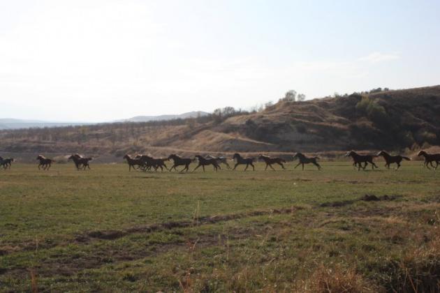 <p><span>İşletme Merkezi Malatya’nın 27 Km. batısında, Malatya-Kayseri karayolu üzerinde Sultansuyu vadisinde bulunmakta olup, merkez arazileri oldukça eğimlidir</span></p>