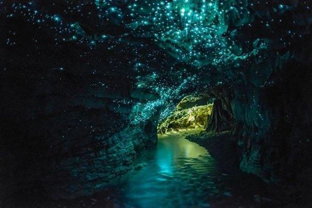 <p>Glowworm Mağarası, Waitomo, Yeni Zelanda</p>
