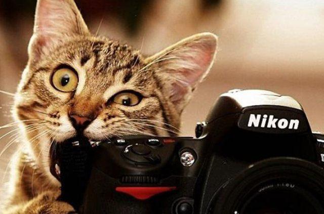 <p><strong>FOTOĞRAF</strong></p>

<p>Arkadaş canlısı gözüken birİ yanınıza yaklaşıp fotoğrafınızı çekmeyi teklif eder. En iyi ihtimalle biraz para ister, en kötü ihtimalle fotoğraf makinenizi alıp kaçar BÜTÜN AVRUPA</p>
