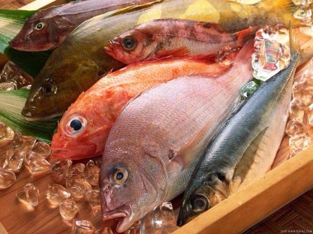 <p>*Şeker hastalarının, kalp hastalığı ve felç riskinden daha çok etkilendikleri için diğer insanlara göre daha fazla balık yemelidirler</p>
<p>*Balığın kılçığında bulunan yüksek orandaki kalsiyum ve fosfor kemiklerin sağlığı ve dayanıklılığı bakımından önemlidir. Bu özelliği nedeniyle kemik erimesi sorununu fazla yaşayan menopoz dönemindeki kadınlar ve yaşlıların balık etini fazla tüketmesi gerekir</p>