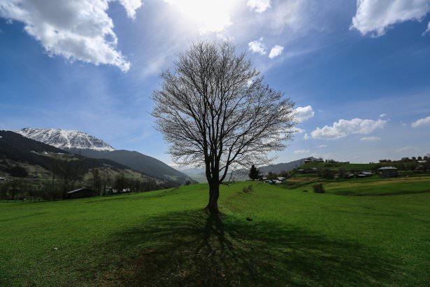 <p>Artvin @felecool</p>
