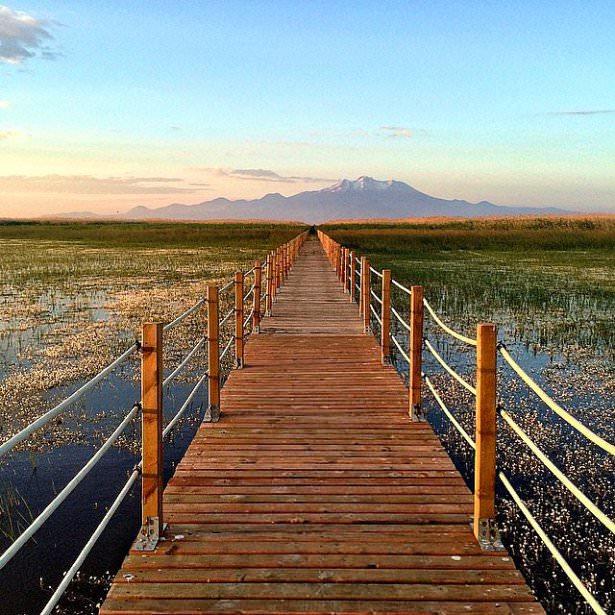 <p>Kayseri @curious2119</p>
