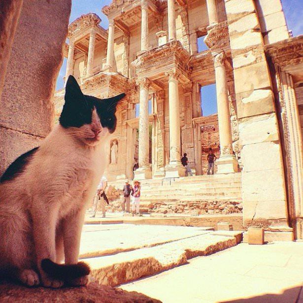 <p>Efes @sezyilmaz</p>
