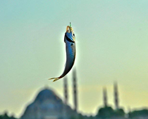 <p>İstanbul @ferhatesnek</p>
