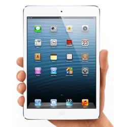 iPad mini