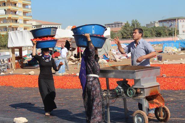 <p>Balıklıgöl yerleşkesi yakınlarında baharatçı dükkanı işleten Cengiz Catın da kaliteli isotun kilosunun 35 liraya kadar alıcı bulduğunu belirtti.</p>
