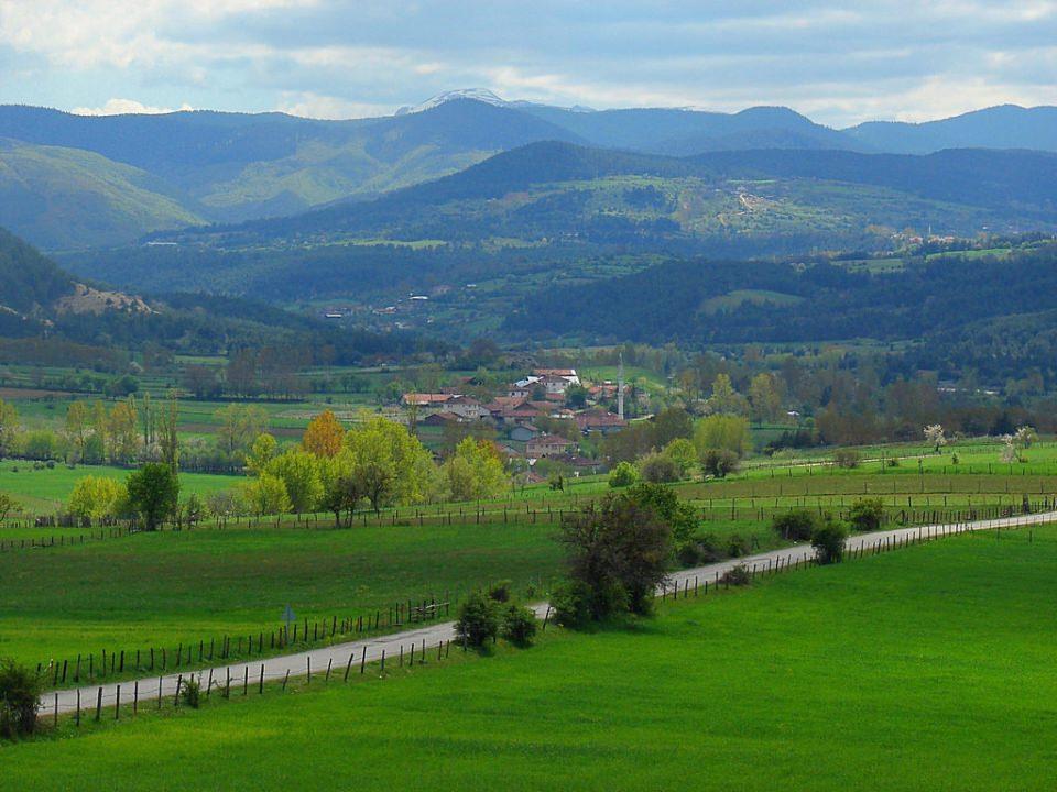 <p><strong>Kastamonu </strong>- 553 bin 612 kişi </p>
