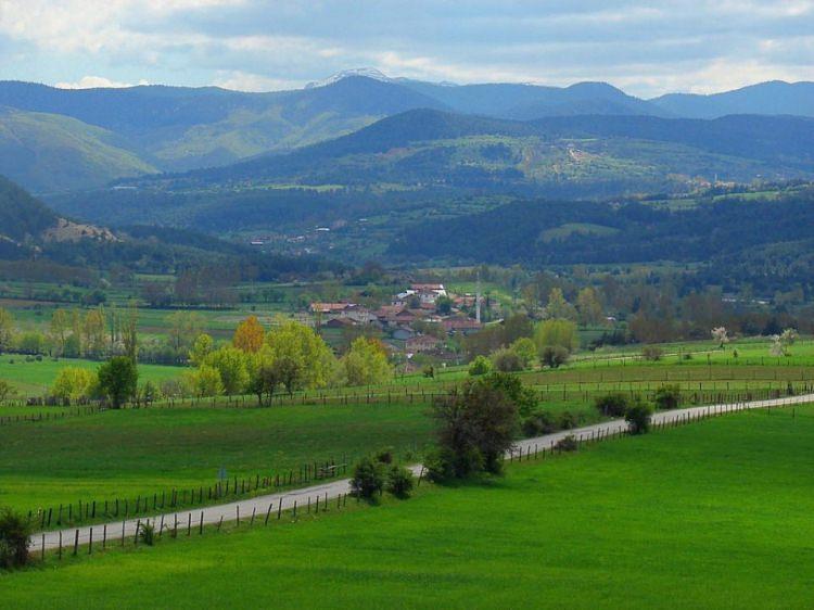 <p><strong>Kastamonu </strong>- 553 bin 612 kişi </p>
