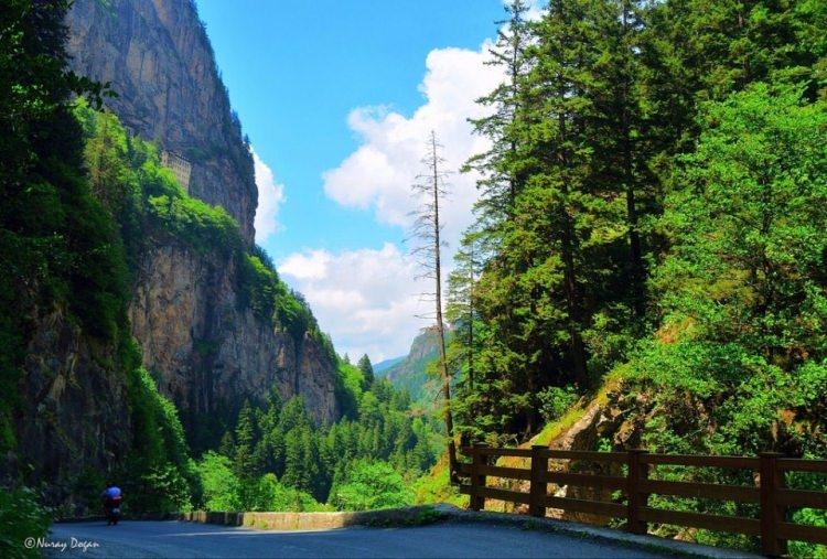 <p><strong>Trabzon </strong>- 398 bin 689 kişi</p>