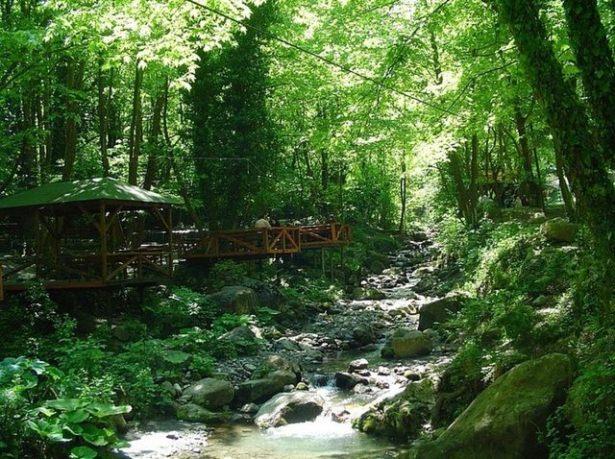 <p>Polonezköy'de gezintiye çıkmak.</p>
