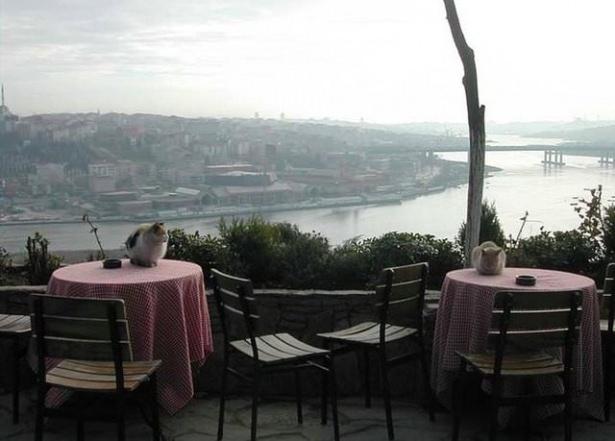 <p>Pier Loti'de kahve içmek.</p>
