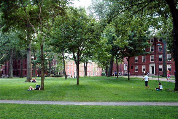 <p><strong>Harvard dönemi</strong></p>

<p>Gates, liseden mezun olduktan sonra Harvard Üniversitesi'ne gitti. İlk olarak hukuk ile eğitimine başlayan Gates, sonra eğitimini üst düzey matematik ve bilgisayar alanına kaydırdı. </p>
