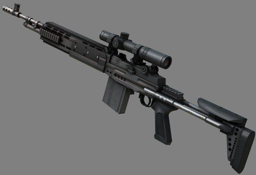 <p>Mk 14 EBR</p>
