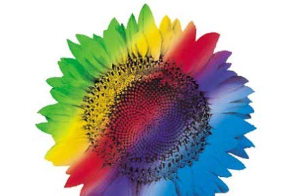 <p><strong>17- WiPro</strong><br />
Hindistanlı dış kaynak şirketinin piyasa değeri yaklaşık 28 milyar dolar.</p>
