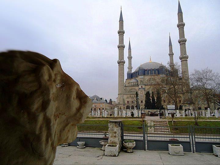 <p><strong>EDİRNE</strong><br />
<br />
1 GÜRSEL ŞİMŞEK ÜNİVERSİTE TIP DOKTORU<br />
2 HÜSEYİN ÜLKER LİSE İŞLETMECİ<br />
3 NEHİR ÇAKIR LİSE SİGORTACI</p>