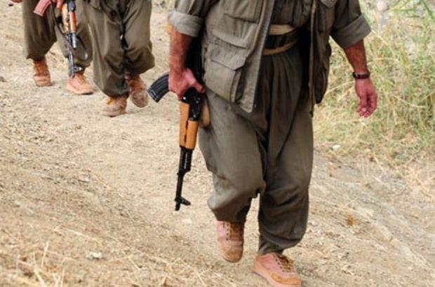 <p>PKK'nın militan sayısı geçen yıl 30 bini aşarken, terör örgütü 4 bin militanını kır ile kent arasında geçiş yapabilecek şekilde kurguladı.<br />
<br />
Türkiye, Suriye ve Irak'ta ölen PKK'lı, YPG'li sayısı 6 bini buldu. Yaralı ve sağ ele geçenlerin sayısıysa 2500 oldu. İşte PKK'nın meskûn mahal ve kırsalda illere göre dağılımı...</p>